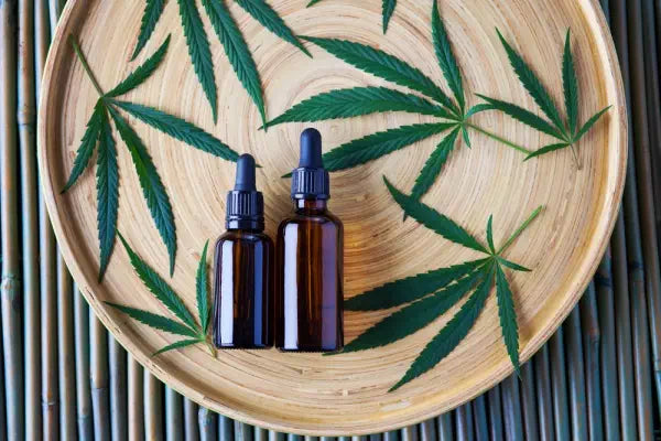CBD olie