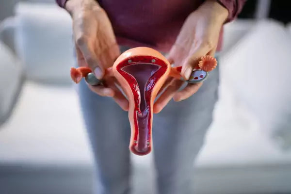 perimenopauze