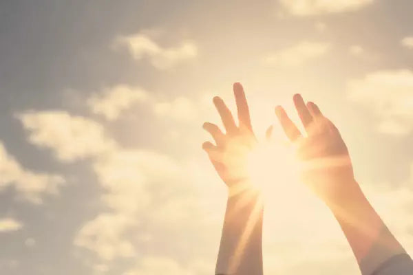 vitamine d zon