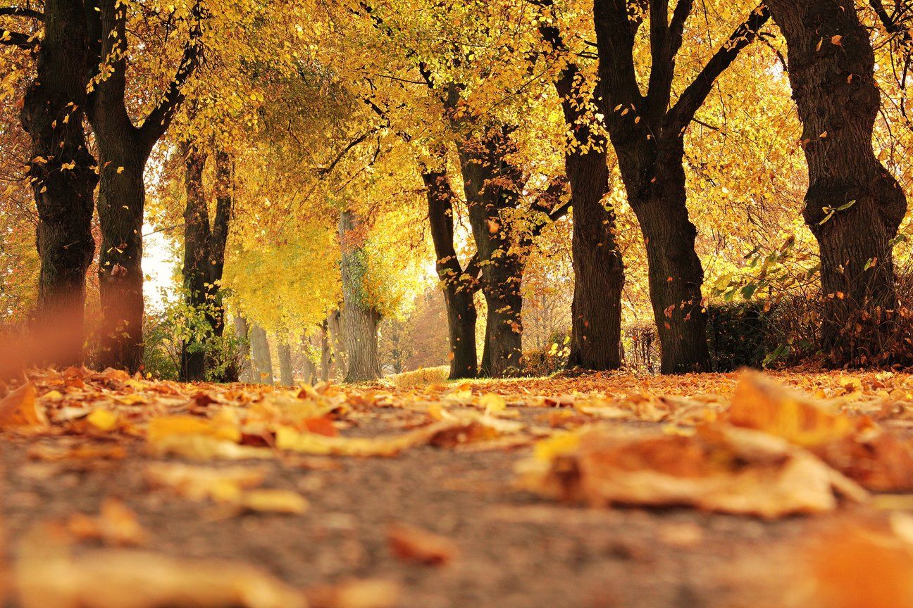 herfstdipje?