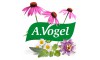 A Vogel