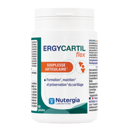 Nutergia Ergycartil Flex 90 cp