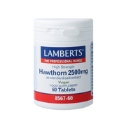 Lamberts Crataegus 2500 mg (hawthorn) 60 tabletten