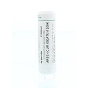 Homeoden Heel Arsenicum iodatum 200K 6 gram granules