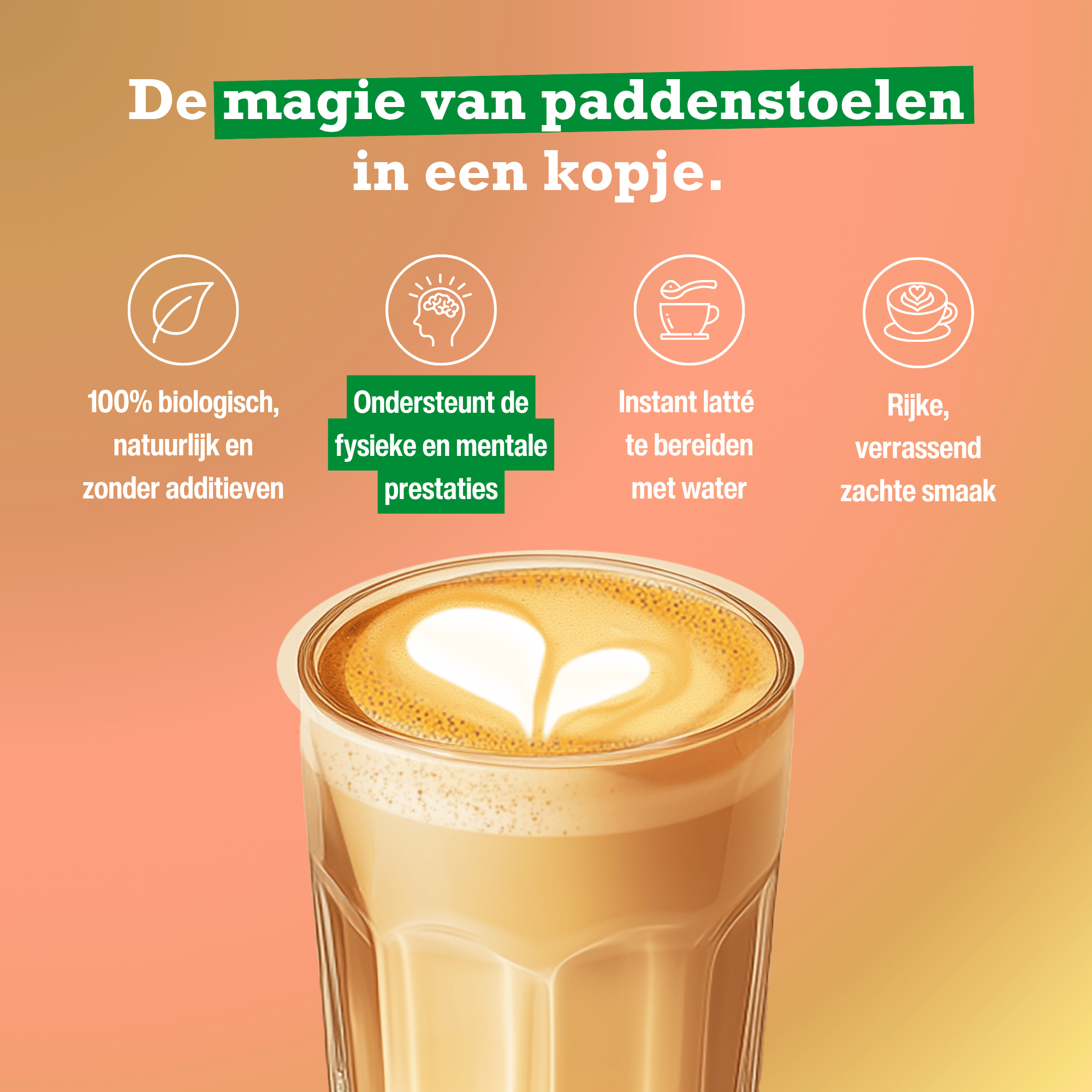 Purasana Biologische Mushroom Latte