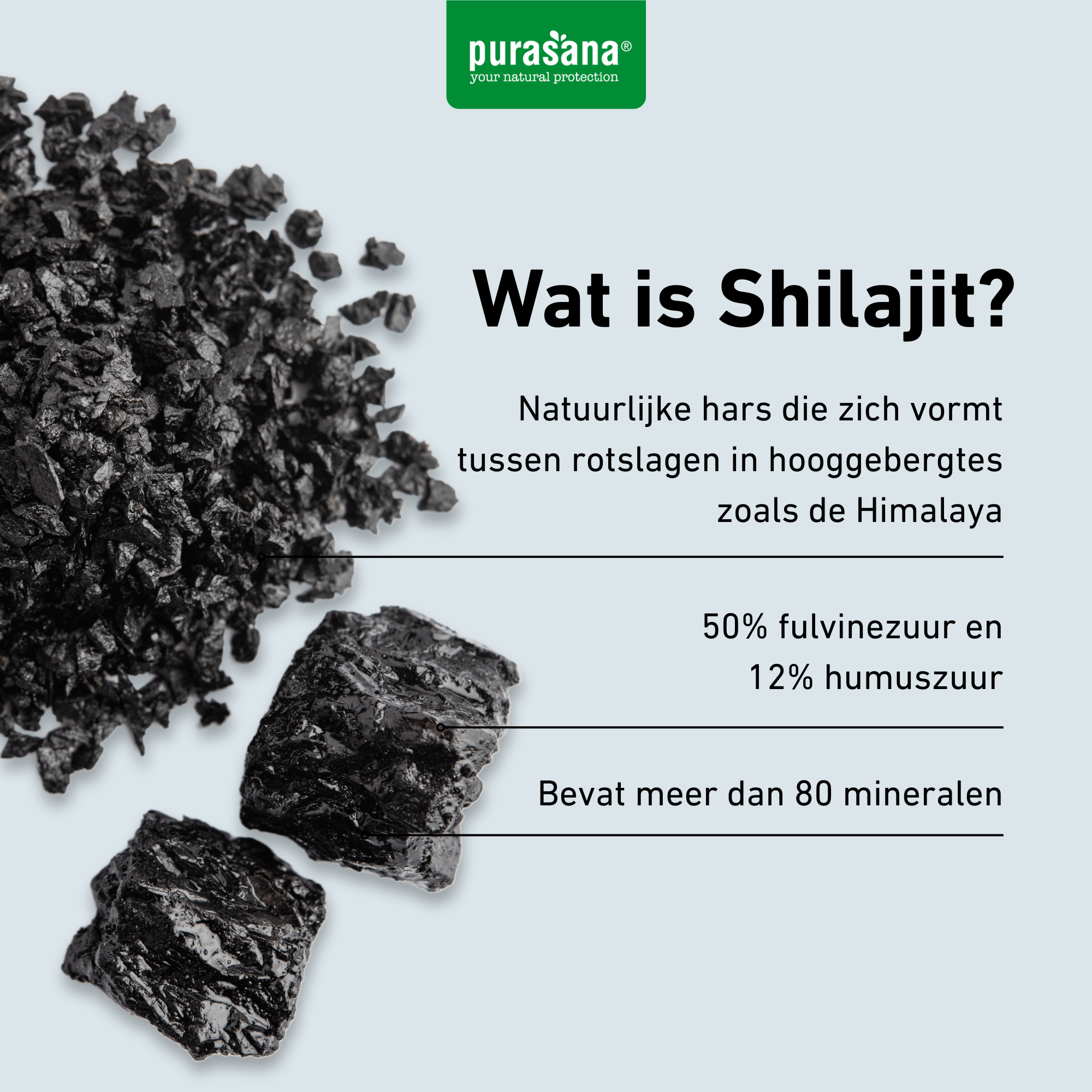 Purasana Shilajit