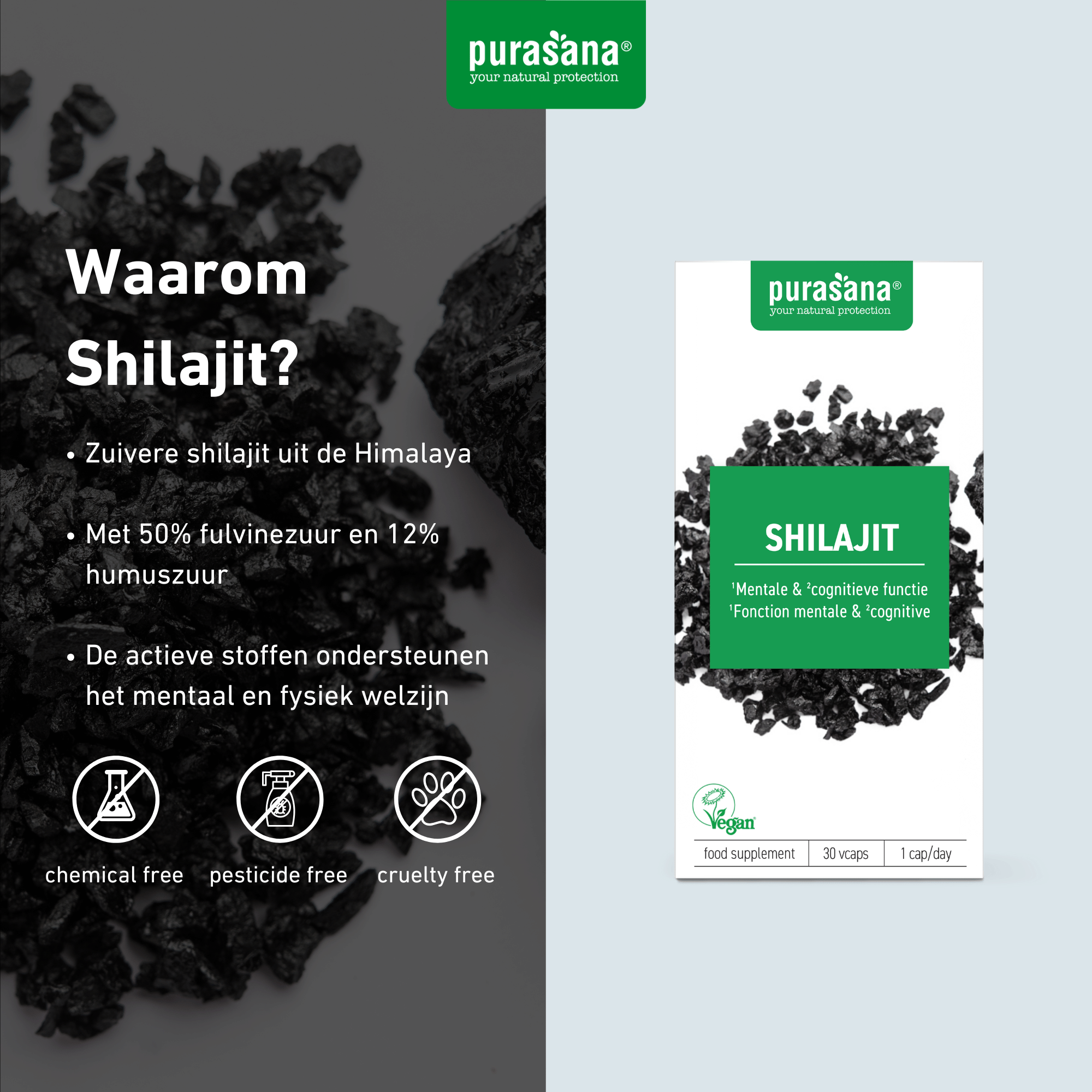 Purasana Shilajit