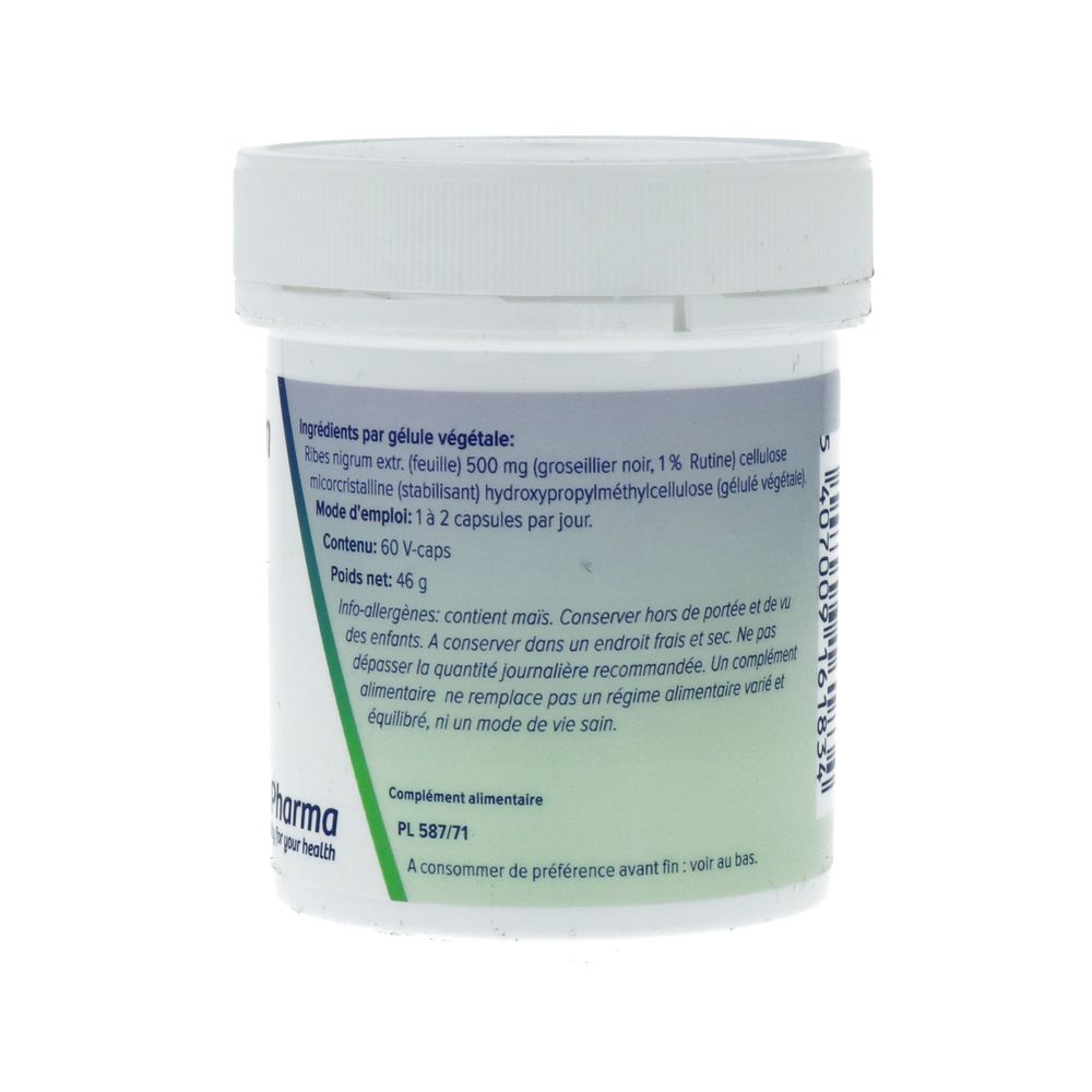 Deba Pharma Ribes Nigrum Forte 500 mg 60 vcaps