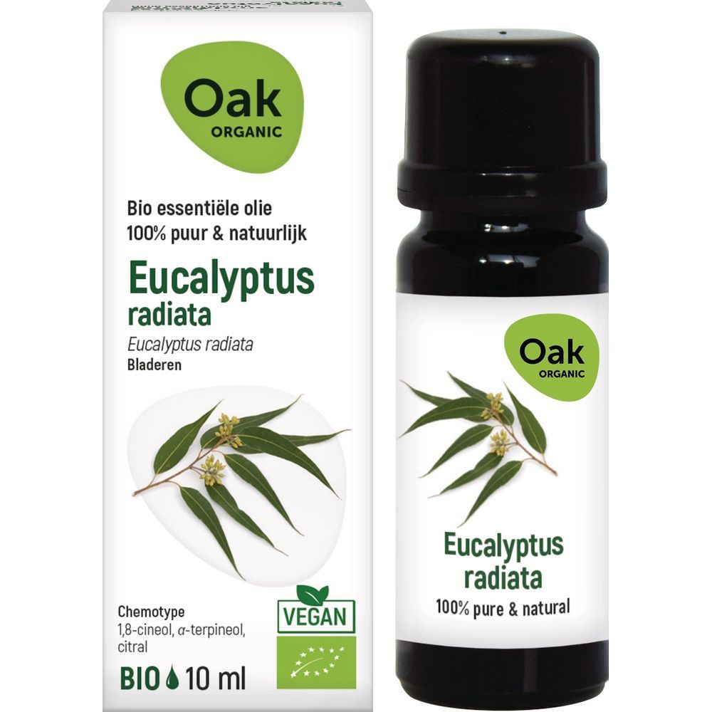 Oak Organic Eucalyptus Radiata 10 ml