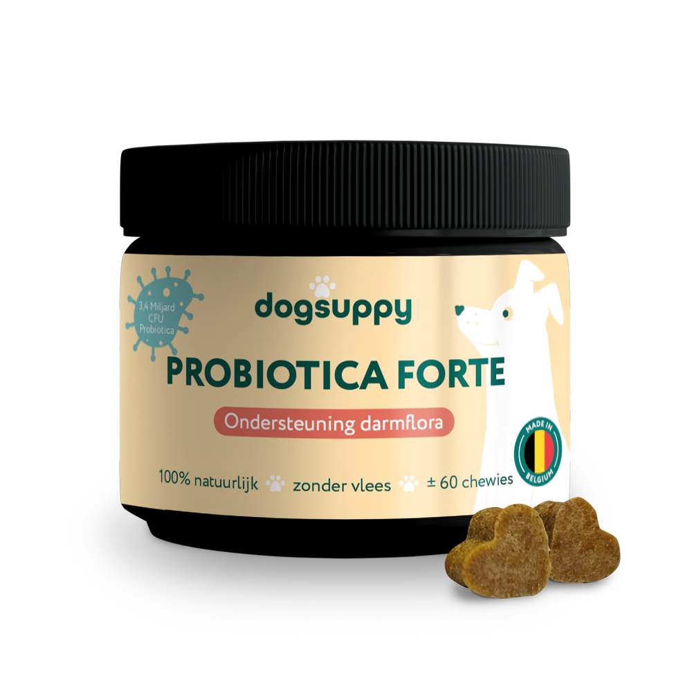 DogSuppy Ondersteuning Darmflora Insect 60 st
