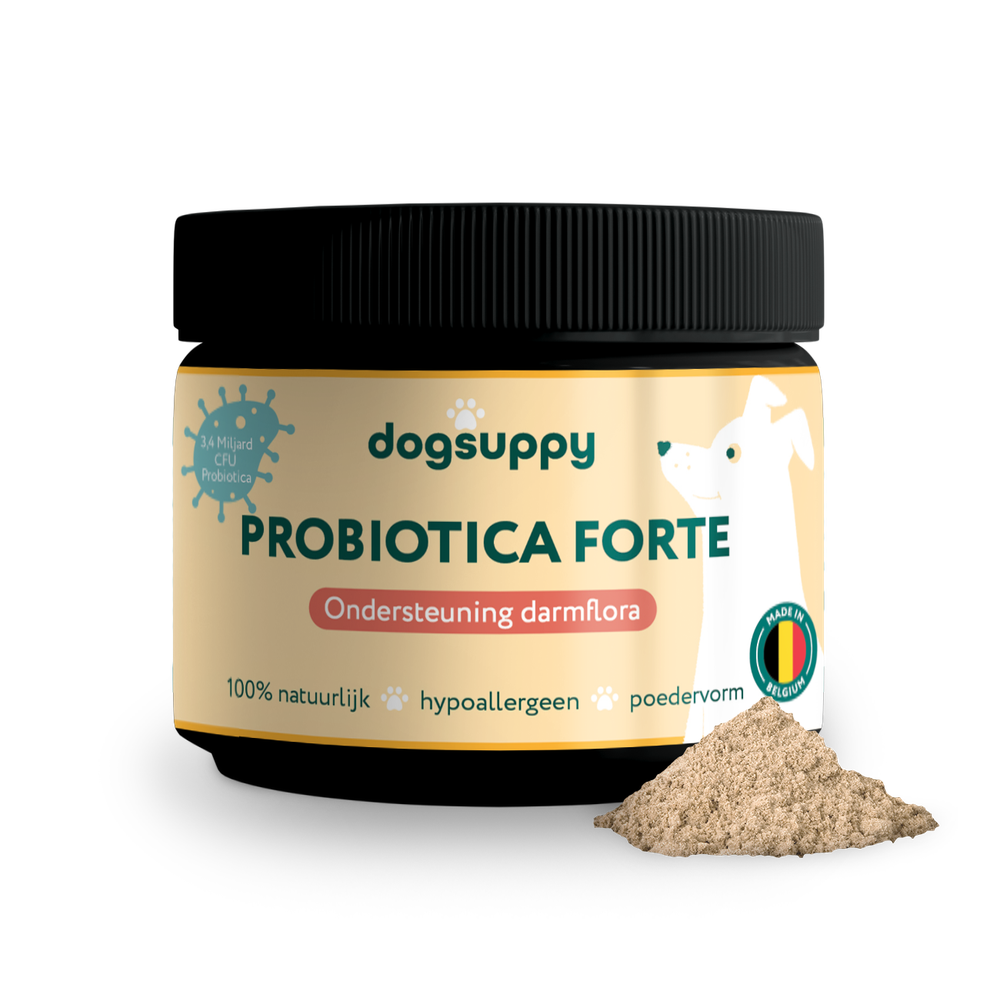 DogSuppy Ondersteuning Darmflora 180 gr
