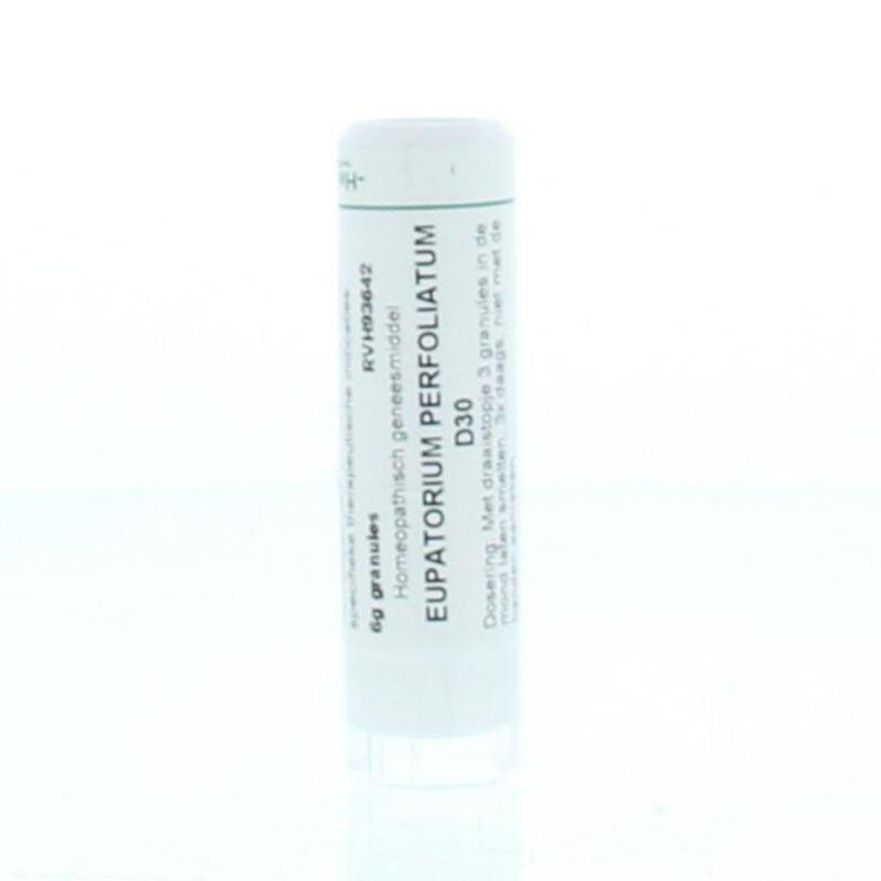 Homeoden Heel Eupatorium perfoliatum D30 6 gram granules