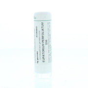 Homeoden Heel Eupatorium perfoliatum D30 6 gram granules