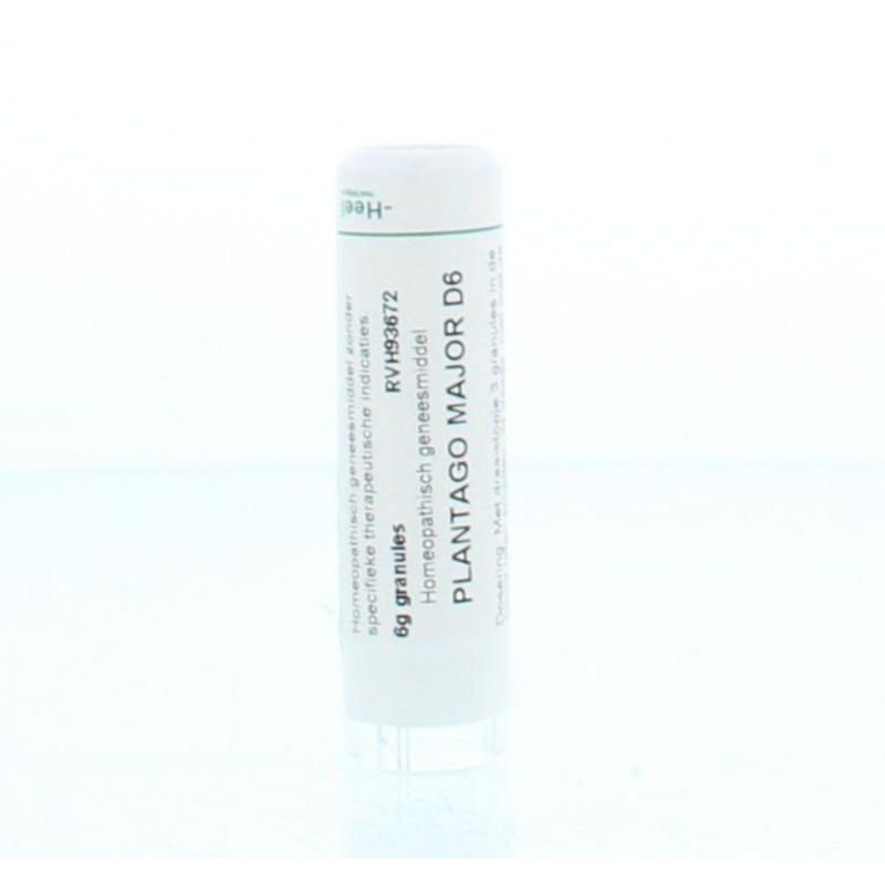 Homeoden Heel Plantago major D6 6 gram granules