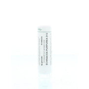 Homeoden Heel Echinacea purpurea D12 6 gram granules