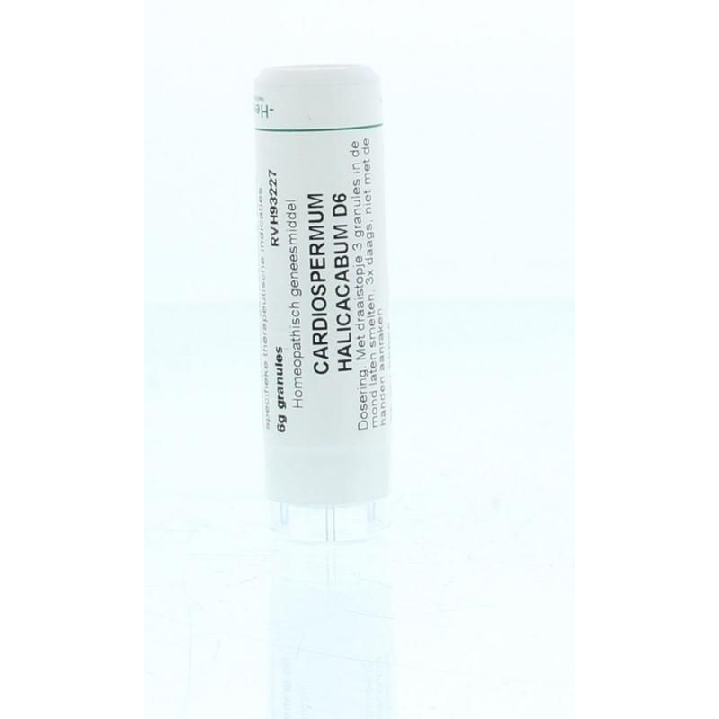 Homeoden Heel Cardiospermum halicacabum D6 6 gram granules