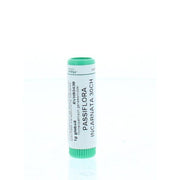 Homeoden Heel Passiflora incarnata 30CH 1 gram globuli