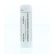 Homeoden Heel Hydrastis canadensis 6CH 6 gram granules