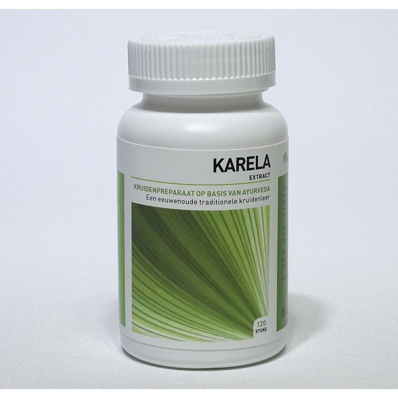 AyurVeda Health Karela momordica 120 tabletten