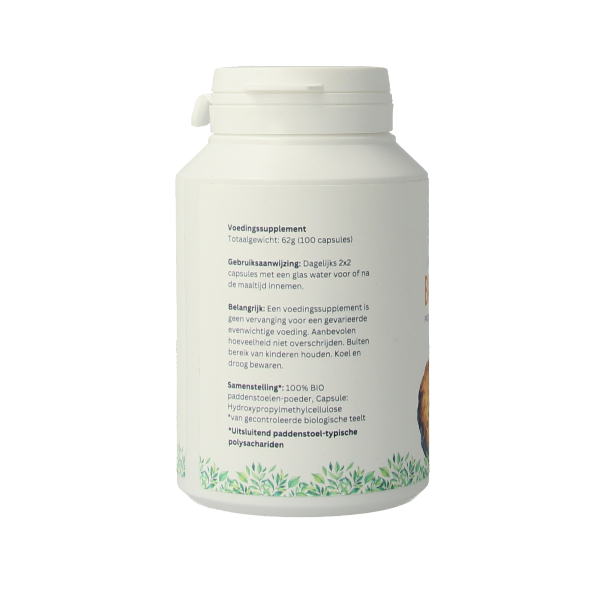 Mycopower Chaga 100 capsules