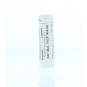 Homeoden Heel Baptisia tinctoria D6 6 gram granules
