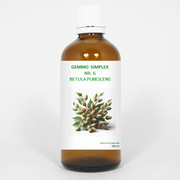Balance Pharma Gemmo simplex 6 betula pubescens 100 ml
