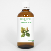 Balance Pharma Gemmo simplex 7 carpinus betulus 100 ml