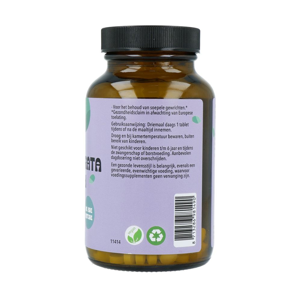 Cruydhof Boswellia serrata extract 5:1 60 tabletten
