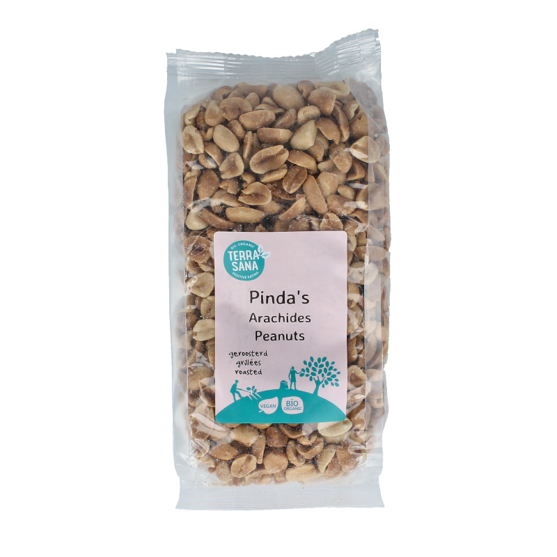 Terrasana Pinda zonder vlies zonder zout bio 250 gram