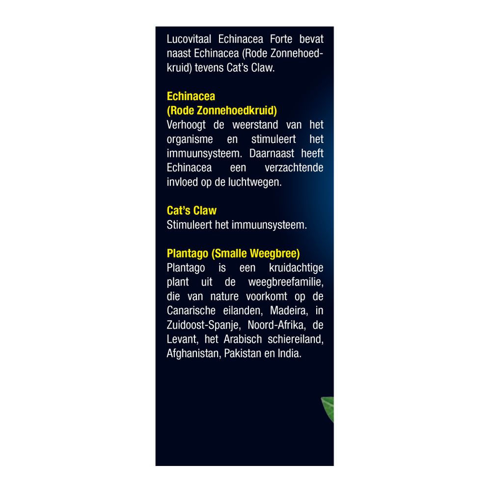 Lucovitaal Echinacea Forte met Cat's Claw Druppels 100 ml