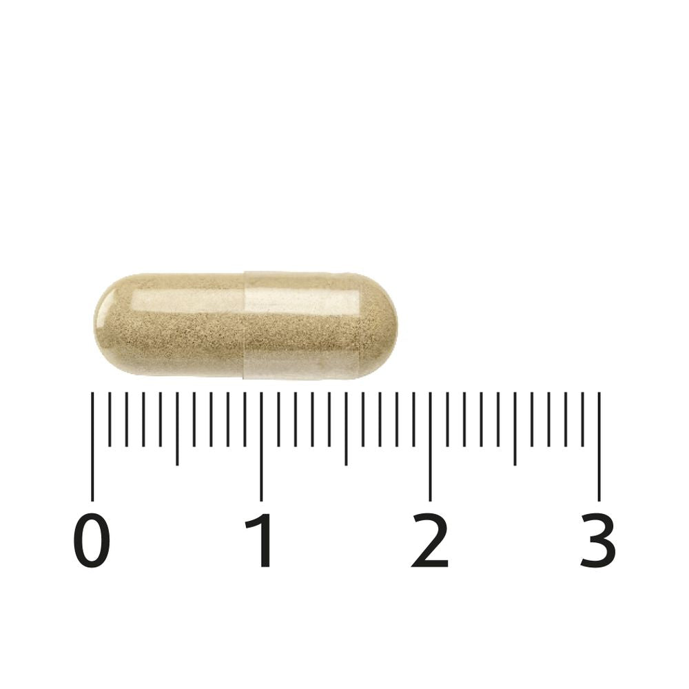 Lucovitaal Scutellaria 2000 mg 30 capsules