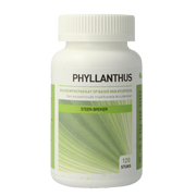 AyurVeda Health Phyllanthus niruri 120 tabletten