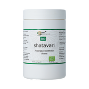 Surya Shatavari churna 100 gram