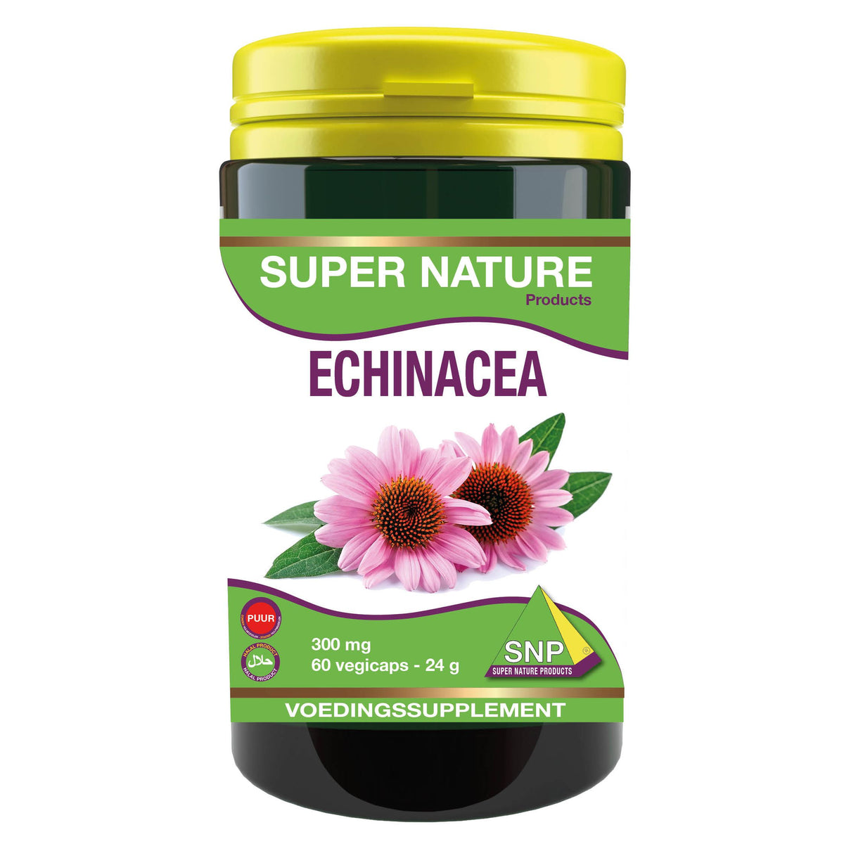 SNP Echinacea puur 60 capsules