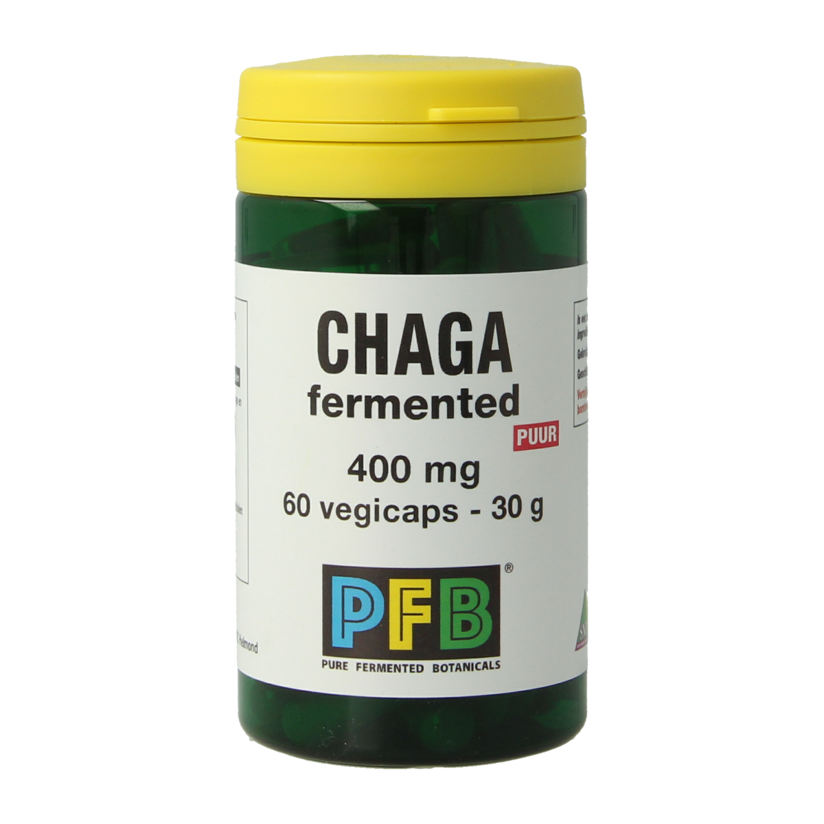 SNP Chaga fermented 400 mg puur 60 vcaps