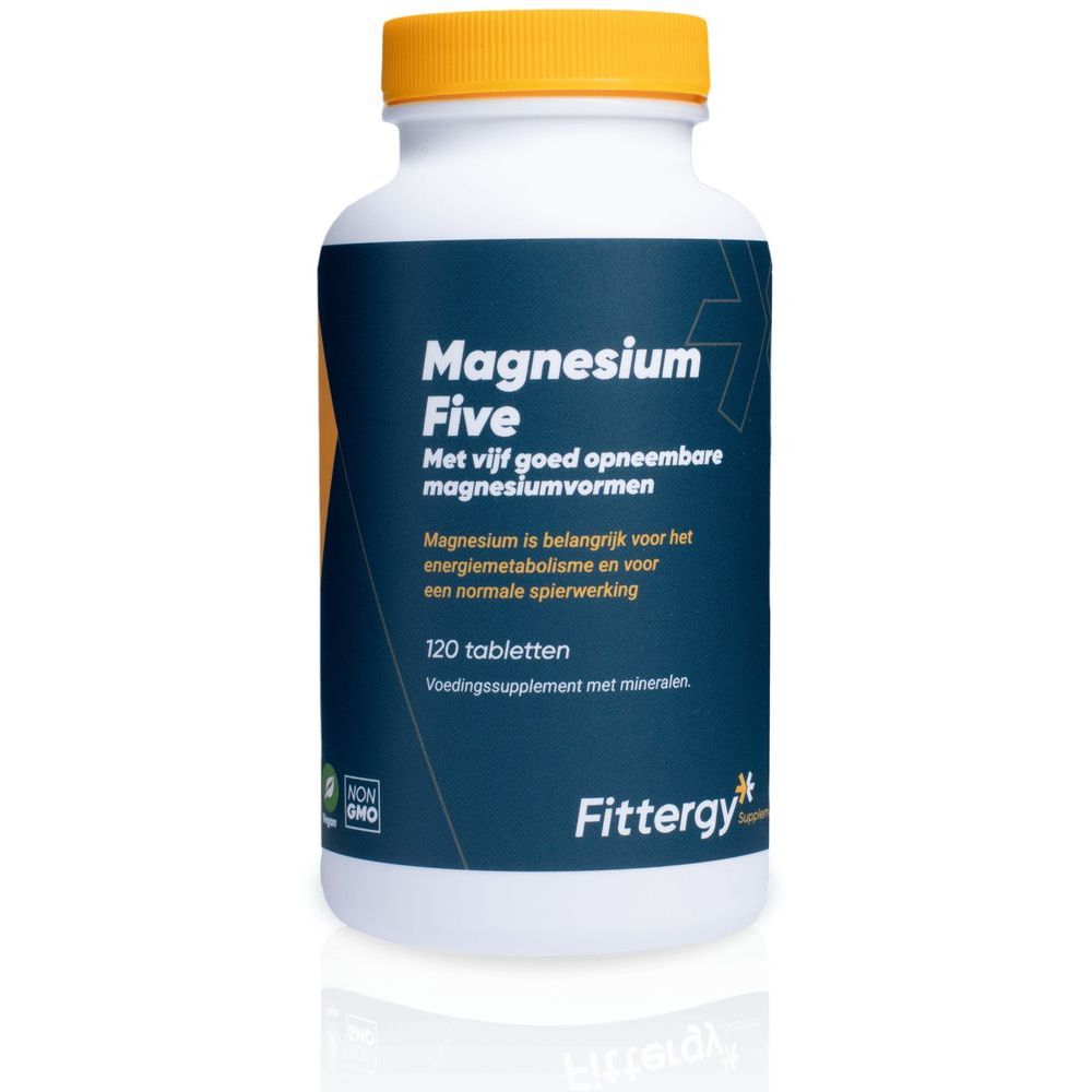 Fittergy Magnesium Five 120 tb