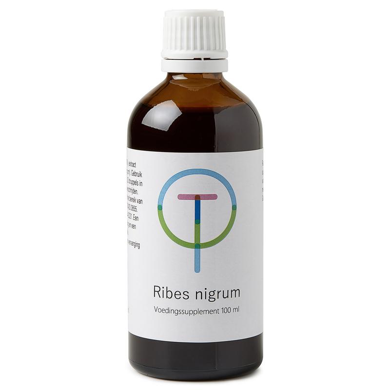 Therapeutenwinkel Ribes nigrum zwarte bes 100 ml