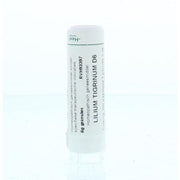 Homeoden Heel Lilium tigrinum D6 6 gram granules