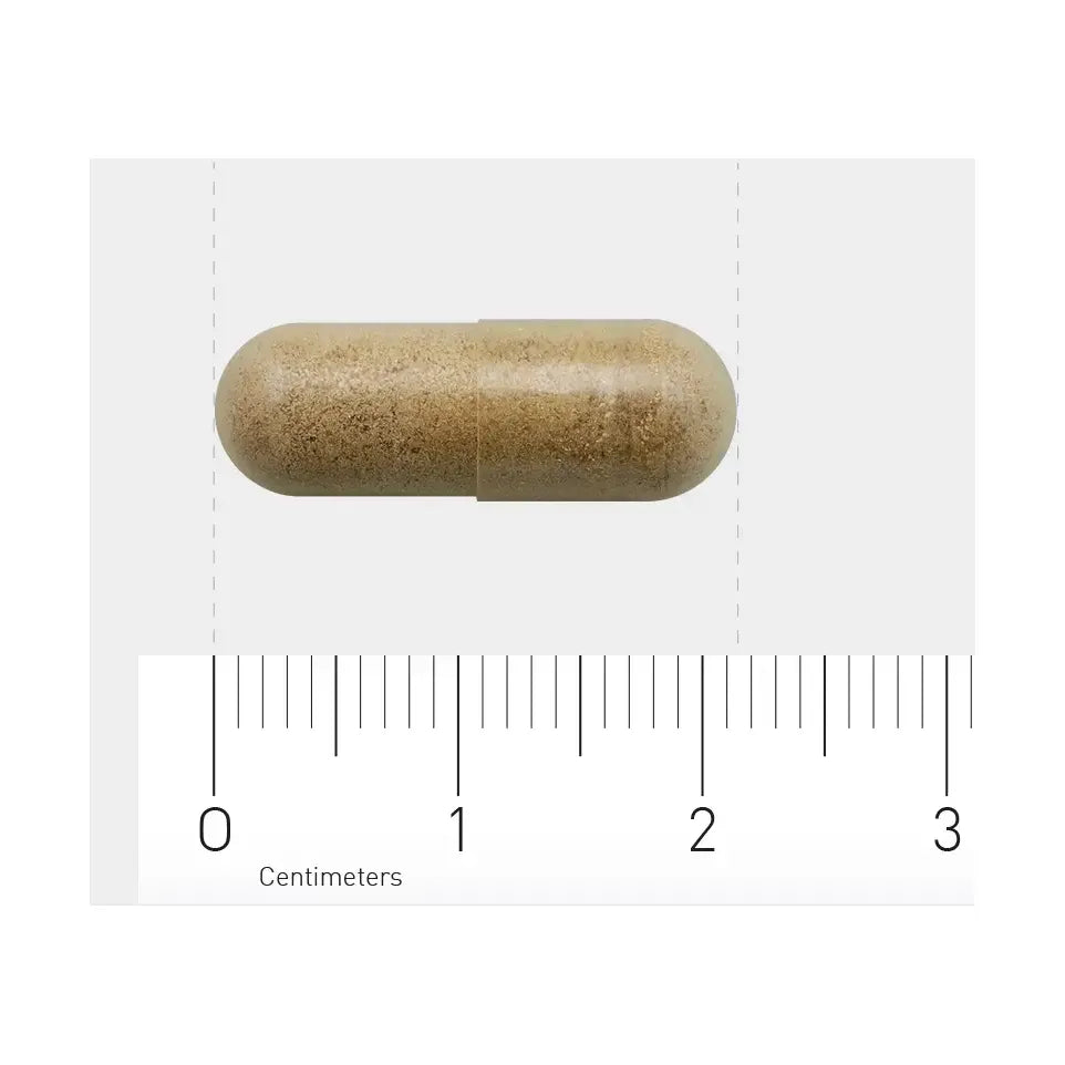 AOV 813 Ginkgo biloba extract 60 vcaps