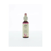 Bach Elm/iep 20 ml