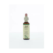 Bach Holly/hulst 20 ml