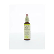 Bach Honeysuckle/kamperfoelie 20 ml