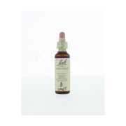 Bach Water violet/waterviolier 20 ml