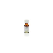 Ginkel's Parfumolie jasmijn 15 ml