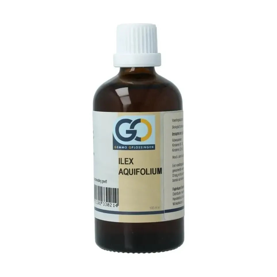 GO ilex aquifolium biologisch 100 ml