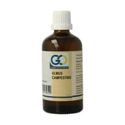 GO Ulmus campestris biologisch 100 ml