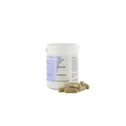 Holisan Gunadi 90 vcaps