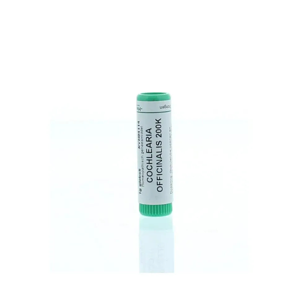 Homeoden Heel Cochlearia officinalis 200K 1 gram globuli