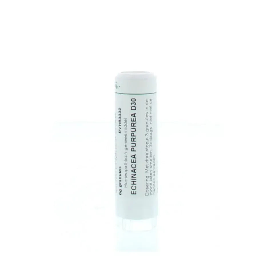 Homeoden Heel Echinacea purpurea D30 6 gram granules