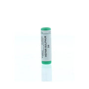 Homeoden Heel Hepar sulphur D6 1 gram globuli